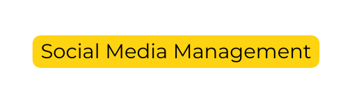 Social Media Management